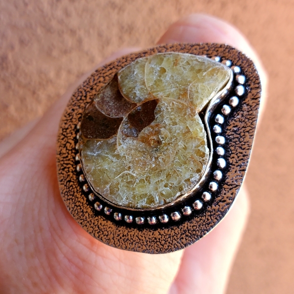New Unique Oversized Ammonite 925 Silver Ring. - Picture 12 of 13